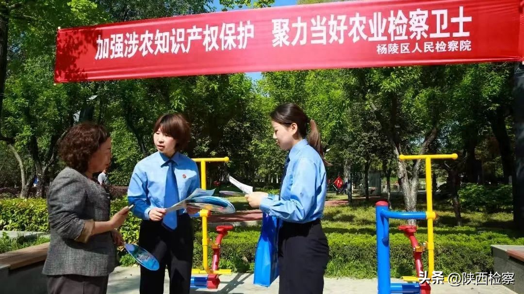 立足知识产权检察专门化 聚力当好农业检察卫士
